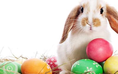 Offre spéciale week-end de Pâques : profitez d’un séjour bien-être à tarif préférentiel 🌸